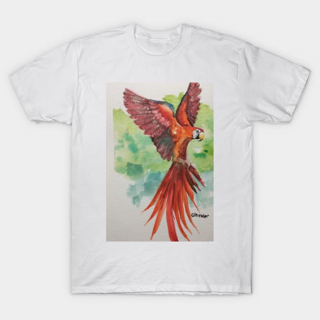 Parrot in flight T-Shirt by Random Happiness